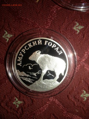 1 руб. Амурский горал 2002г. до 17.04 - 984-17P4VYyokxE    (179)