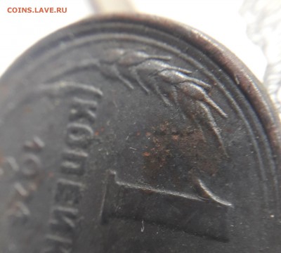 1 копейка 1924 гладкий гурт Фед. 1.2 - 20190413_104234