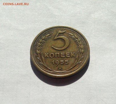 5 копеек 1955г. , до 19.04.19г. - 555-5