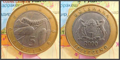 Ботсвана 5 пул, 2000 БИМ - 21