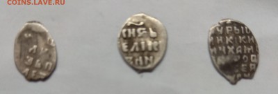Чешуя на опознание - оценку - IMG_20190414_124339