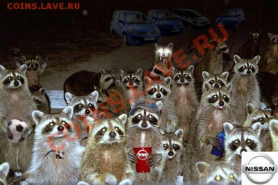 ФАНАТЫ ЕНОТОВ СОБИРАЮТСЯ ЗДЕСЬ!!! - клубничОк