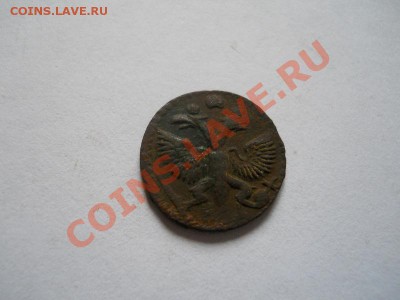 Неплохая Полушка ВРП. Окончание в 21.55, 25.06.2011. - 39.JPG