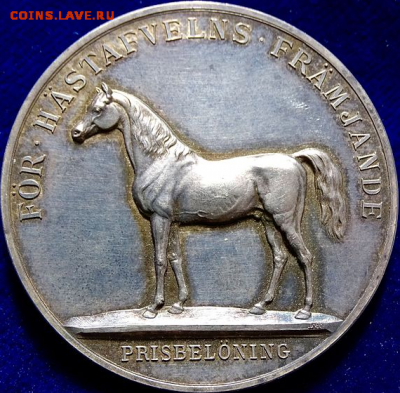 Рис. 9. Медаль «Серебряная лошадь» [2] - Medal_Horse