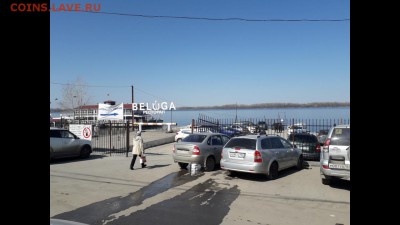 делает - прямо сейчас !!! - Screenshot_20190415-120049_Gallery