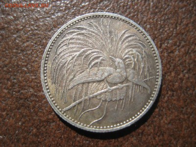 2 Новая гвинея марки 1894г. - IMG_1860.JPG