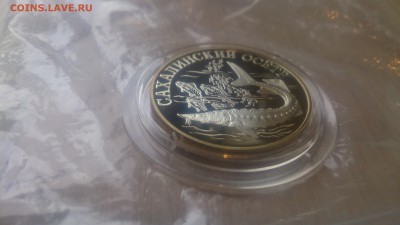 Красная книга 1 Рубль 2001 Сахалинский Осётр до 21.04 22.10 - DSC_4522.JPG