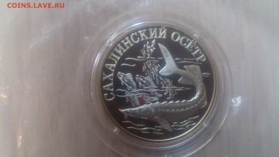 Красная книга 1 Рубль 2001 Сахалинский Осётр до 21.04 22.10 - DSC_4524.JPG