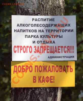 юмор - IMG_6873