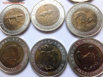 1993гг(Красная Книга)прошу оценить - DSCF0306.JPG