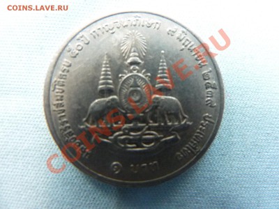 Конкурс «Veni Vedi Vici» - MEMO0016.JPG