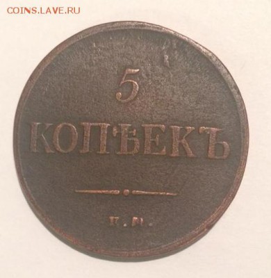 5 копеек 1837 года ЕМ КТ - 1837 лицо
