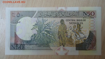 СОМАЛИ 50 ШИЛЛИНГОВ 1990 UNC - DSC05533.JPG