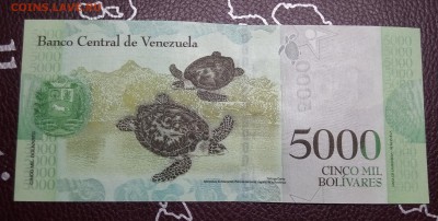 венесуэла 5000пресс UNC 22,04,19до 22,00 - IMG_20190404_090732