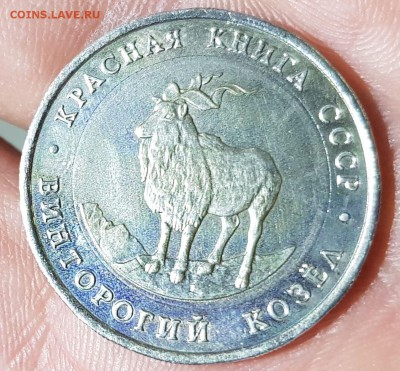 5 руб 1991 - Винторогий козел - белая вставка - 20190419_085122