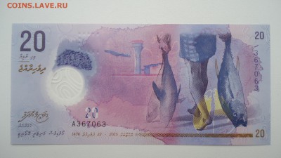 МАЛЬДИВЫ 20 РУФИЙ 2015 UNC ПЛАСТИК - DSC05457.JPG
