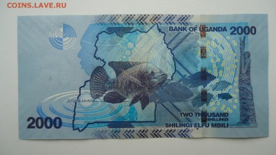 УГАНДА 2000 ШИЛЛИНГОВ 2015 UNC - DSC05454.JPG