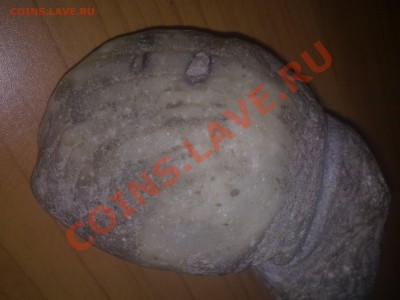 Окаменелые ракушки - ABCD0001.JPG