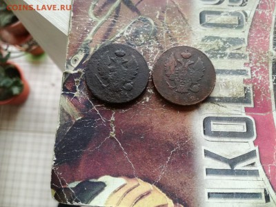 2 копейки 1811, 1812 ИМ ПС до 24.04.2019 - им (2) - копия