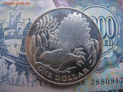 1 доллар Новая Зеландия 1980 "Веерохвостка" - IMG_3468.JPG