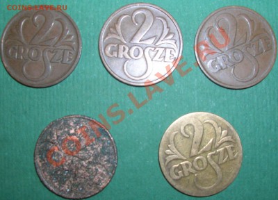 Польша, набор монет 2 грош 1923,1931,1935,1937,1938 годов - DSCN5194.JPG