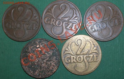 Польша, набор монет 2 грош 1923,1931,1935,1937,1938 годов - DSCN5195.JPG