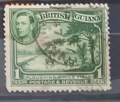 Колонии Британская Гвиана 1938 1м 1ц до 25 04 - 12