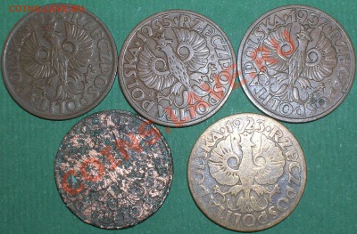 Польша, набор монет 2 грош 1923,1931,1935,1937,1938 годов - DSCN5197.JPG