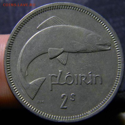 флорин ирландия 1966 - DSCN2761_thumb