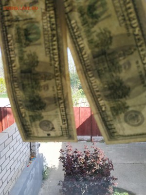 Нужна помощь с 200 $ . - NBPgga6dLkE
