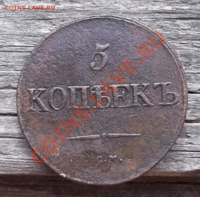 5 копеек 1831 СМ.До 26.06.11 в 22-00 МСК - 100_1159.JPG