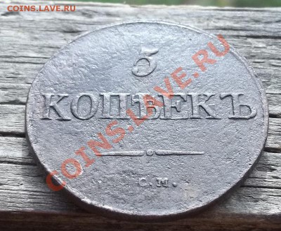 5 копеек 1831 СМ.До 26.06.11 в 22-00 МСК - 100_1161.JPG