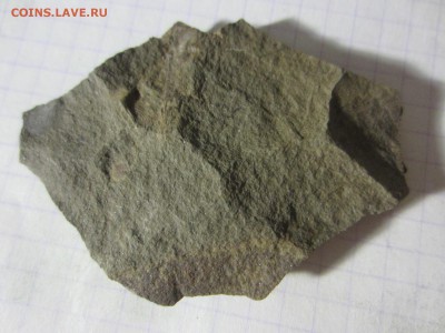 Окаменелая флора Палеозоя (3), до 27.04.2019. 22.00 мск - IMG_1652.JPG