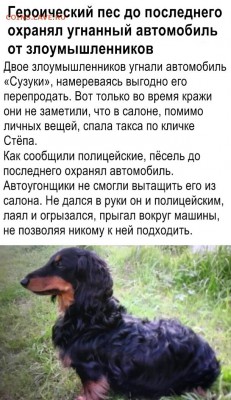 делает - прямо сейчас !!! - BNmMBlzCF38