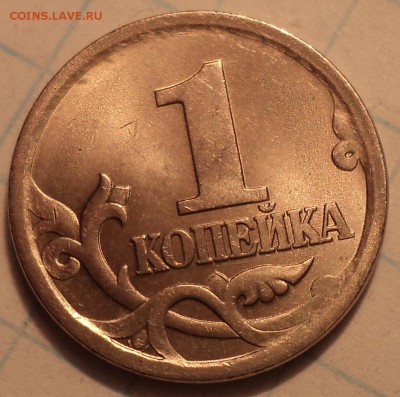 РАЗНОВИДНОСТИ  от  СЛФ - DSC06238.JPG