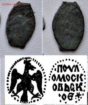 Чешуя на опознание - оценку - DSC00440.JPG