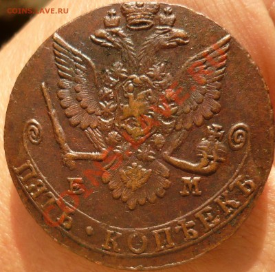5 копеек 1779 ЕМ до 28.06.11 в 21.00 - P1050275.JPG