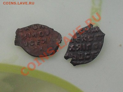 Датировать чешую - SDC14263.JPG