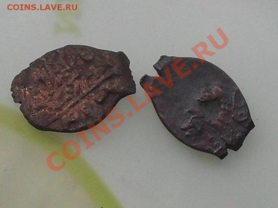 Датировать чешую - SDC14265.JPG