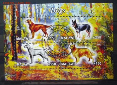  фикс - DSCF7693.JPG