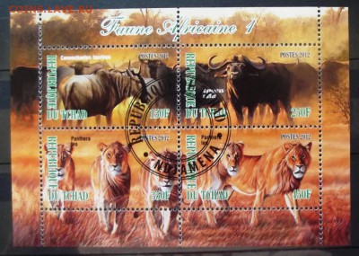  фикс - DSCF7689.JPG