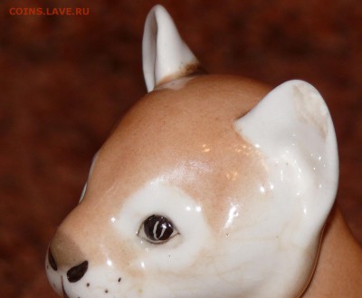 Два львёнка ЛФЗ. крупные. с дефектами.   с 1 руб - P1800087.JPG
