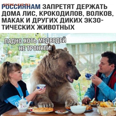 юмор - miUEkVZiI1c