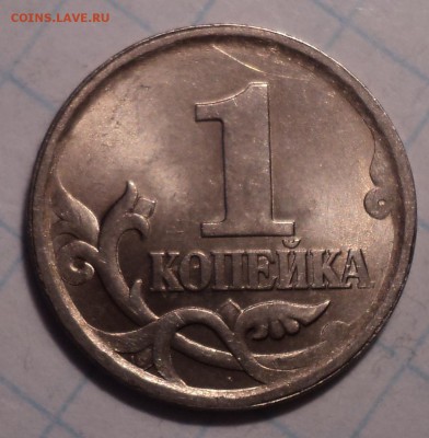 РАЗНОВИДНОСТИ  от  СЛФ - DSC06257.JPG