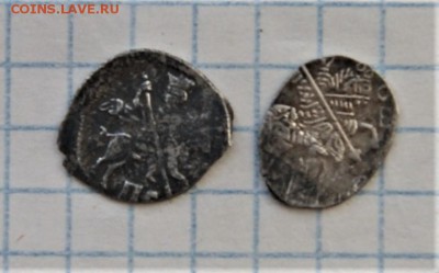 Две чешуйки - DSC00491.JPG