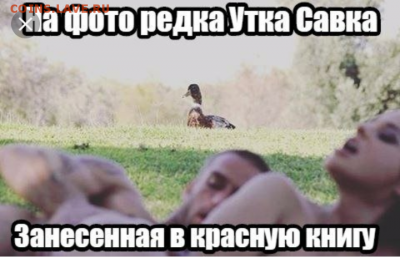 юмор - IMG_20190426_180731