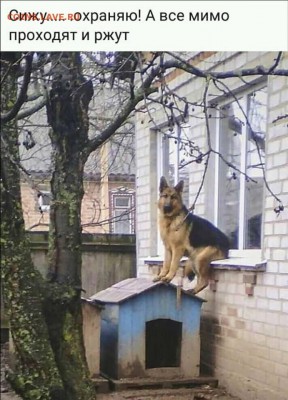 юмор - image (5)