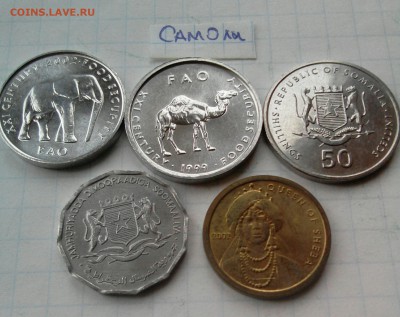 Монеты Самоли , Эфиопии, Малави и др. - _20190427_110457.JPG