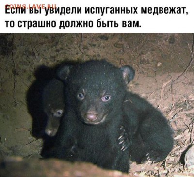 юмор - beFQfViT6lQ