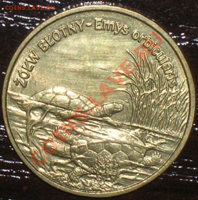 Польша, 7 монет по 2 злотых, 2002 - 2004 гг. - DSCN5204.JPG